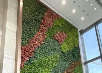 大堂植物墙，横琴总部大厦垂直绿化景观