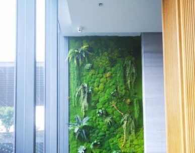 永生苔藓墙，室内苔藓植物墙景观