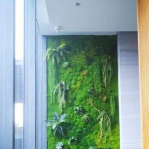 永生苔藓墙，室内苔藓植物墙景观