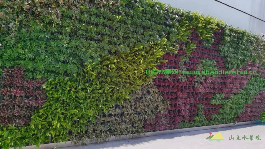 外墙植物墙