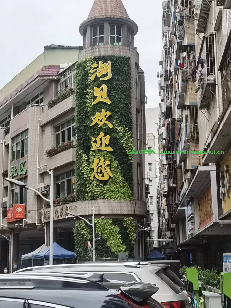 建筑物外墙垂直绿化