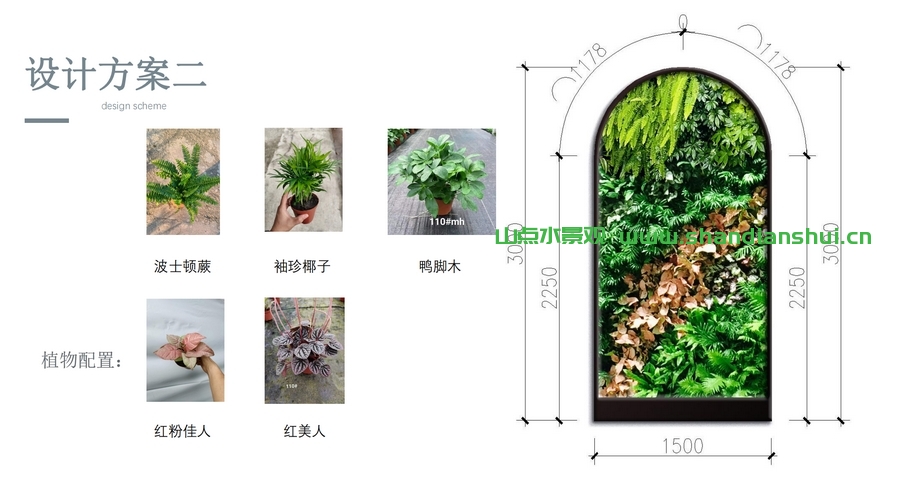 拱形植物墙