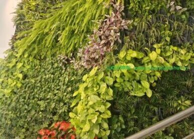 企业植物墙，东莞创艺包装室内垂直绿化景观