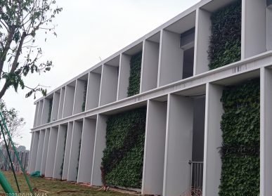 户外垂直绿化，平湖药厂外墙植物墙景观