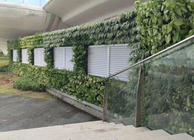 旅游胜地垂直绿化，珠海三角岛植物墙景观