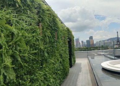 植物景观墙，天音大厦艺术体验中心展示区绿墙