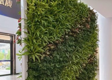 室内植物墙，匡合集团植物屏风