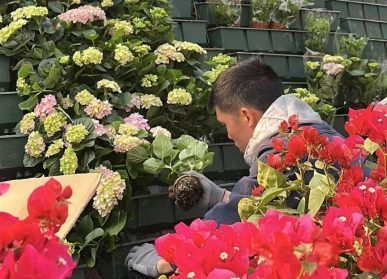 市政边坡绿化，香港翠峦小筑坡面复绿
