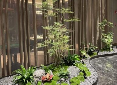 中山中心华邑酒店室内植物造景