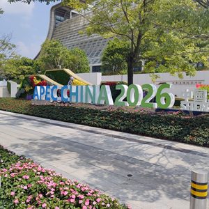 前海时花养护项目(会议中心西门绿雕仿真植物)主材施工工程